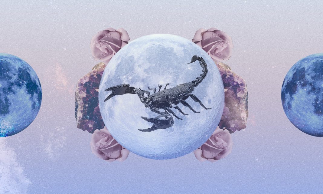 scorpio-horoscope-november-2023:-read-your-monthly-predictions